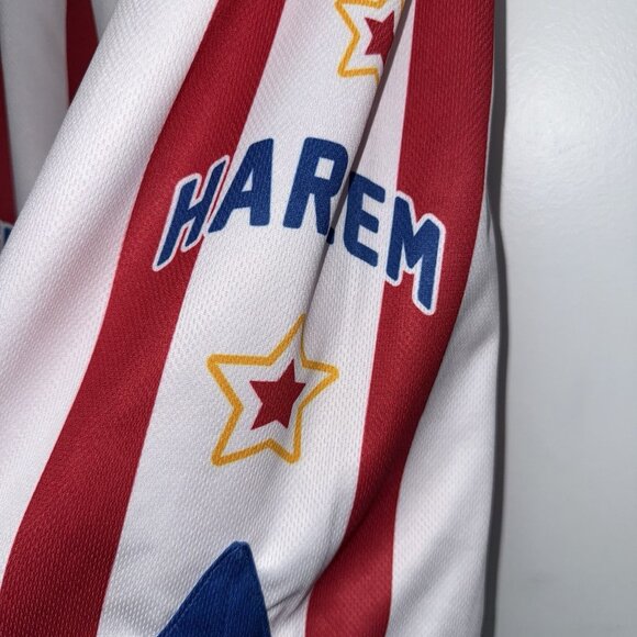 Champion Harlem Globetrotters Basketball Shorts Mens Size Small Red White Stripe - Picture 3 of 7